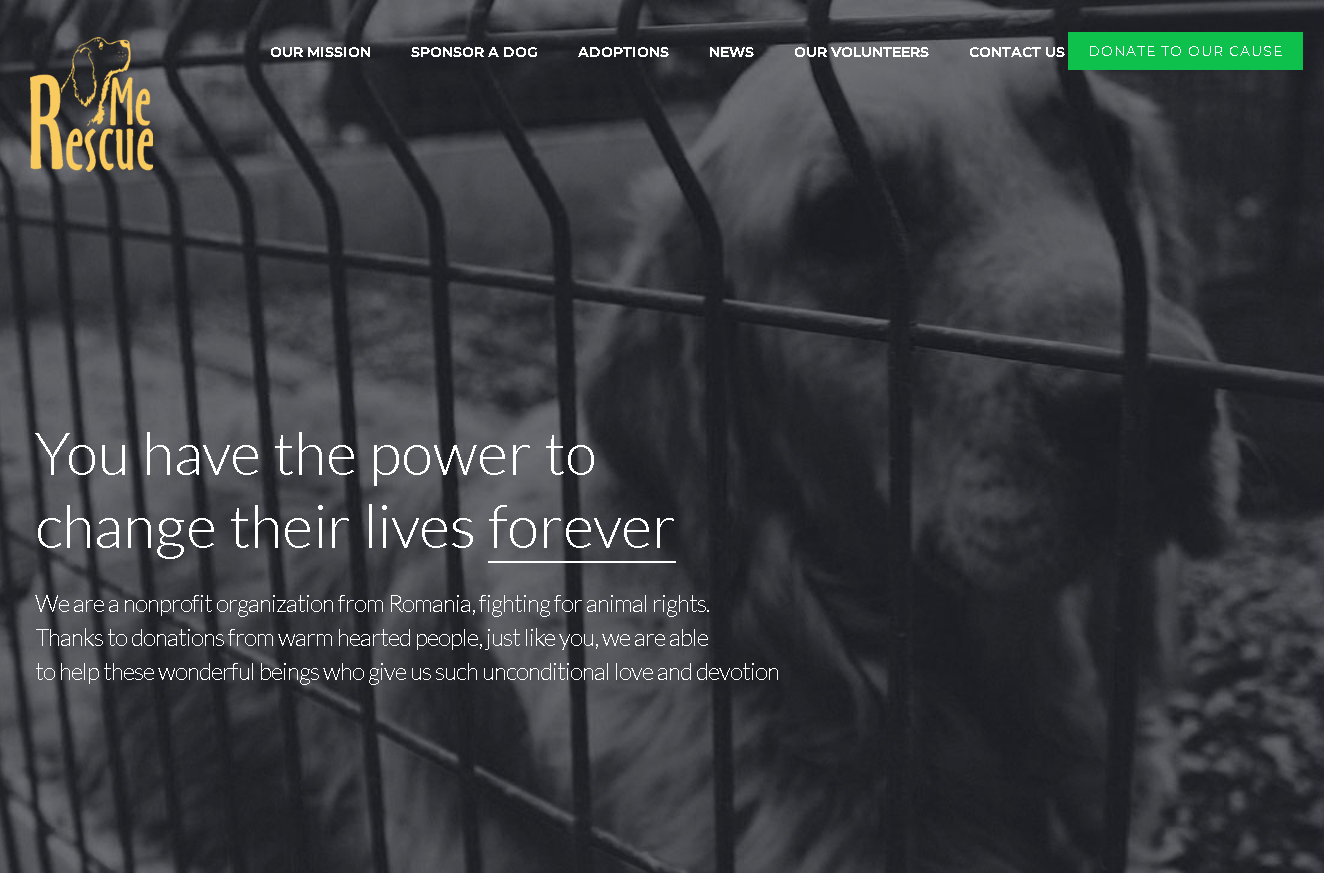 Website - Imagine Proiect